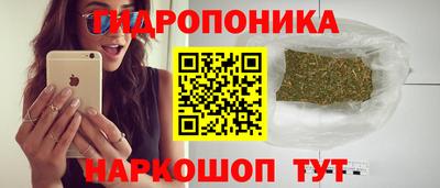 гидра Заводоуковск