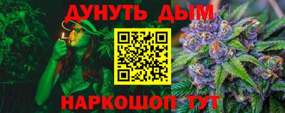 гидра Заводоуковск