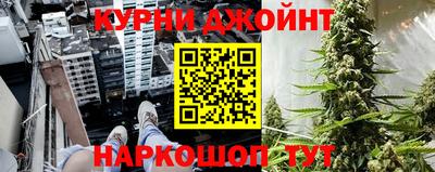 гидра Заводоуковск