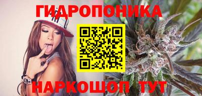 гидра Заводоуковск