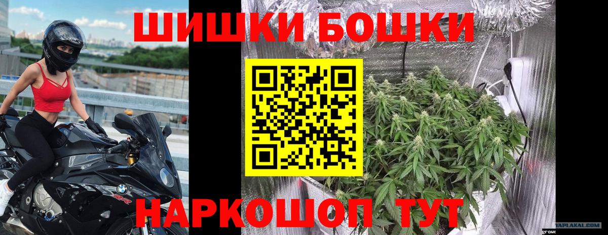 Марихуана план Минеральные Воды